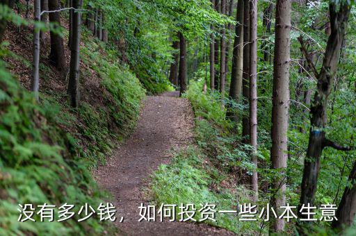 沒有多少錢，如何投資一些小本生意
