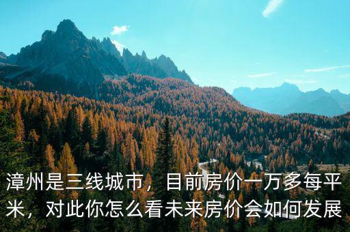 漳州是三線城市，目前房價一萬多每平米，對此你怎么看未來房價會如何發(fā)展