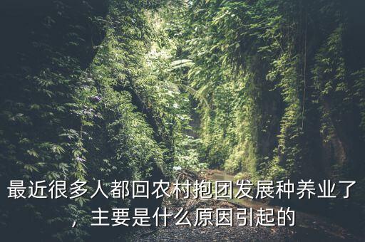 最近很多人都回農(nóng)村抱團發(fā)展種養(yǎng)業(yè)了，主要是什么原因引起的