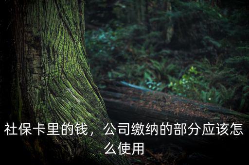公司交的社保怎么用,社?？ɡ锏腻X