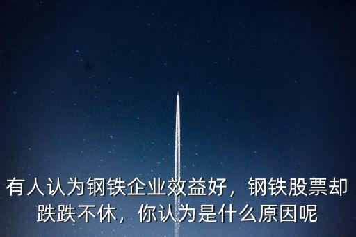 有人認(rèn)為鋼鐵企業(yè)效益好，鋼鐵股票卻跌跌不休，你認(rèn)為是什么原因呢