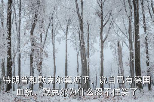 特朗普和默克爾套近乎，說自己有德國血統(tǒng)，默克爾為什么忍不住笑了
