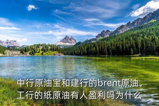 中行原油寶和建行的brent原油，工行的紙原油有人盈利嗎為什么