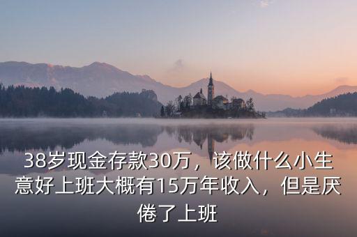38歲現(xiàn)金存款30萬，該做什么小生意好上班大概有15萬年收入，但是厭倦了上班