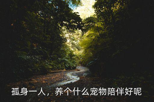 孤身一人，養(yǎng)個什么寵物陪伴好呢