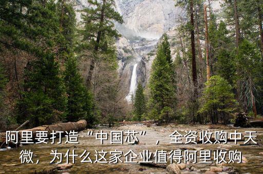 阿里要打造“中國芯”，全資收購中天微，為什么這家企業(yè)值得阿里收購