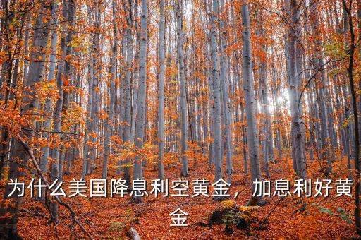 為什么美國(guó)降息利空黃金，加息利好黃金