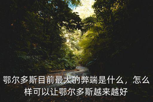 鄂爾多斯目前最大的弊端是什么，怎么樣可以讓鄂爾多斯越來越好