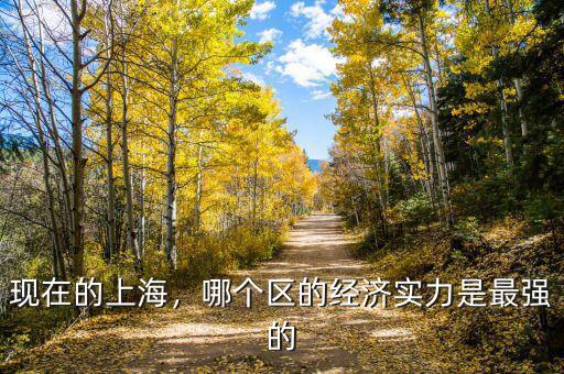 現(xiàn)在的上海，哪個(gè)區(qū)的經(jīng)濟(jì)實(shí)力是最強(qiáng)的