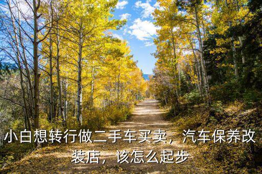 小白想轉行做二手車買賣，汽車保養(yǎng)改裝店，該怎么起步