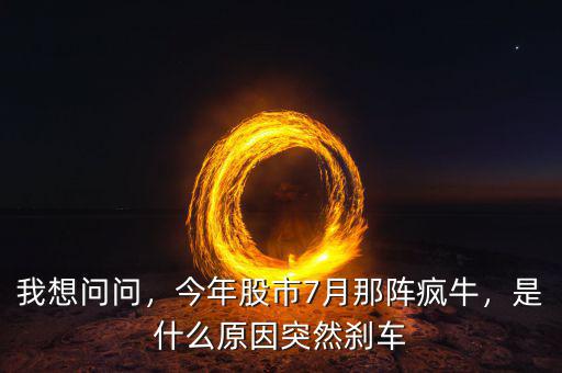 我想問問，今年股市7月那陣瘋牛，是什么原因突然剎車