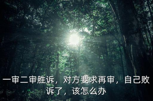 一審二審勝訴，對方要求再審，自己敗訴了，該怎么辦