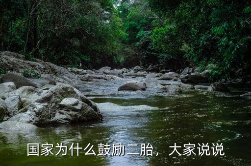 國家為什么鼓勵二胎，大家說說