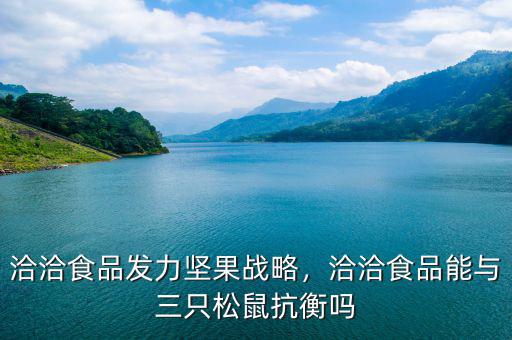 洽洽食品發(fā)力堅果戰(zhàn)略，洽洽食品能與三只松鼠抗衡嗎
