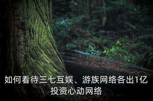 如何看待三七互娛、游族網(wǎng)絡(luò)各出1億投資心動網(wǎng)絡(luò)