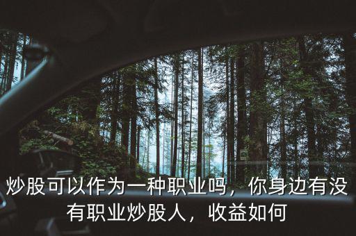 炒股可以作為一種職業(yè)嗎，你身邊有沒有職業(yè)炒股人，收益如何