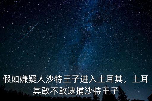 假如嫌疑人沙特王子進(jìn)入土耳其，土耳其敢不敢逮捕沙特王子