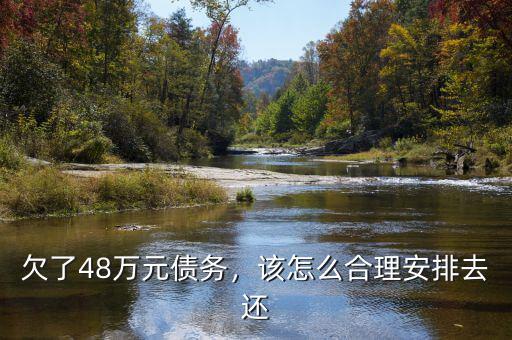欠了48萬元債務(wù)，該怎么合理安排去還