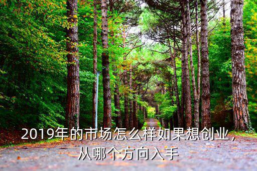 2019年的市場怎么樣如果想創(chuàng)業(yè)，從哪個方向入手