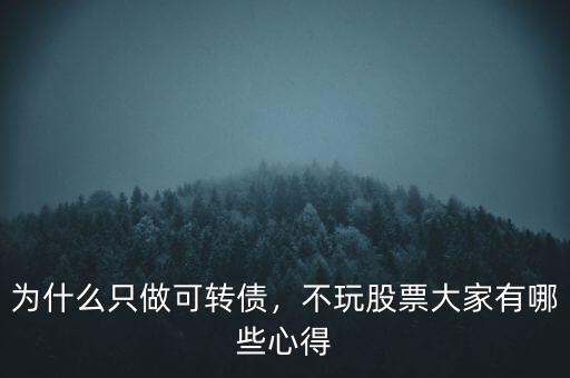為什么只做可轉(zhuǎn)債，不玩股票大家有哪些心得