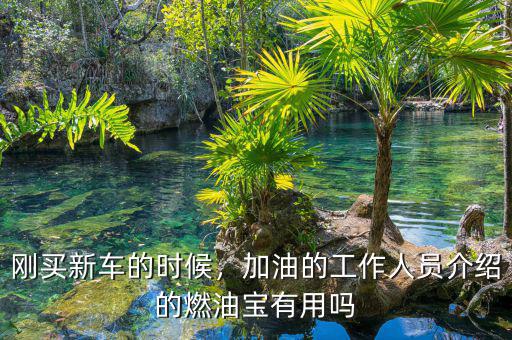 剛買新車的時候，加油的工作人員介紹的燃油寶有用嗎