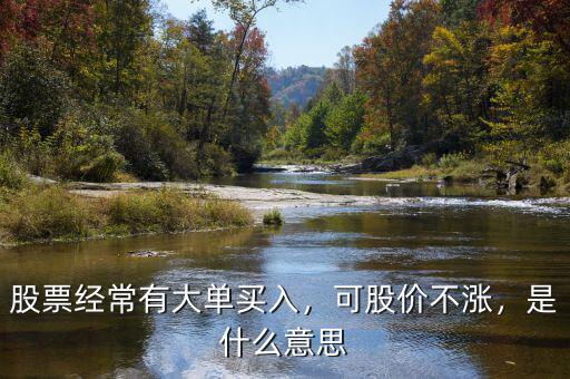 股票經(jīng)常有大單買入，可股價(jià)不漲，是什么意思