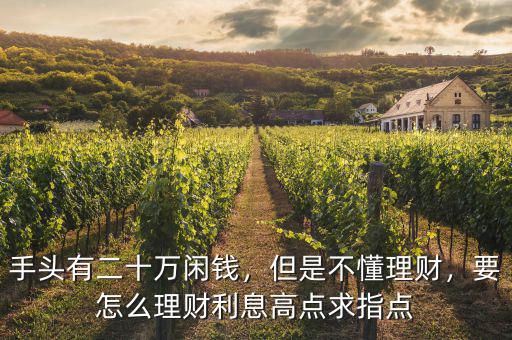 手頭有二十萬(wàn)閑錢，但是不懂理財(cái)，要怎么理財(cái)利息高點(diǎn)求指點(diǎn)