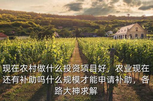 現(xiàn)在農(nóng)村做什么投資項目好，農(nóng)業(yè)現(xiàn)在還有補助嗎什么規(guī)模才能申請補助，各路大神求解