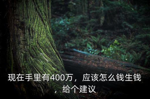 現(xiàn)在手里有400萬，應該怎么錢生錢，給個建議