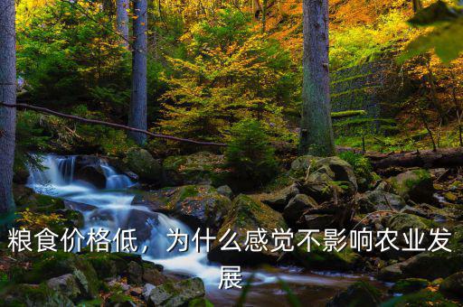 糧食價格低，為什么感覺不影響農(nóng)業(yè)發(fā)展
