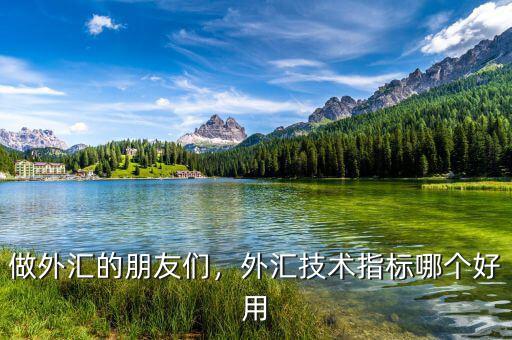 做外匯的朋友們，外匯技術指標哪個好用