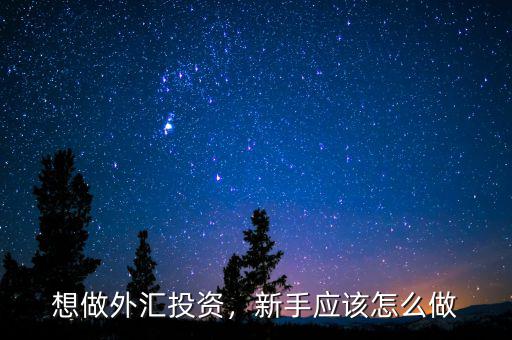 想做外匯投資，新手應(yīng)該怎么做