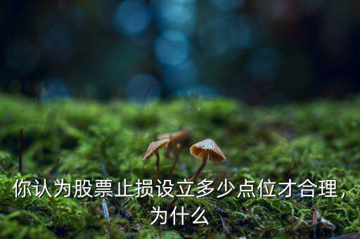 你認(rèn)為股票止損設(shè)立多少點(diǎn)位才合理，為什么