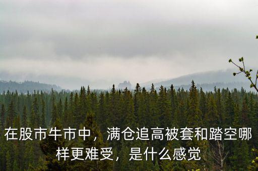 在股市牛市中，滿倉追高被套和踏空哪樣更難受，是什么感覺