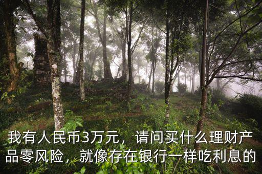 我有人民幣3萬元，請問買什么理財產(chǎn)品零風(fēng)險，就像存在銀行一樣吃利息的