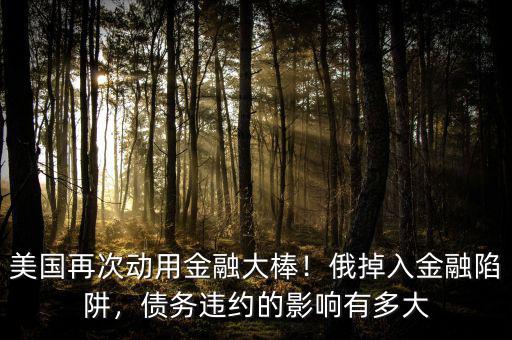 美國再次動用金融大棒！俄掉入金融陷阱，債務(wù)違約的影響有多大