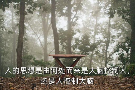 人的思想是由何處而來是大腦控制人，還是人控制大腦