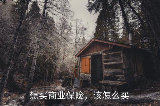 想買商業(yè)保險(xiǎn)，該怎么買