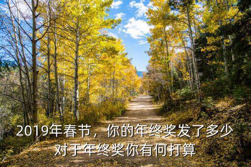 2019年春節(jié)，你的年終獎發(fā)了多少對于年終獎你有何打算