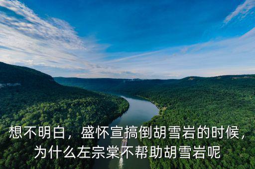 想不明白，盛懷宣搞倒胡雪巖的時(shí)候，為什么左宗棠不幫助胡雪巖呢