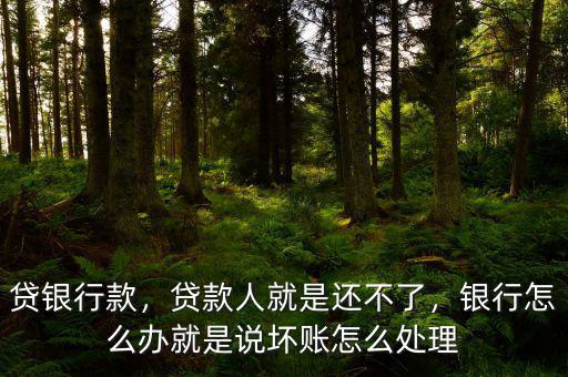 貸銀行款，貸款人就是還不了，銀行怎么辦就是說(shuō)壞賬怎么處理