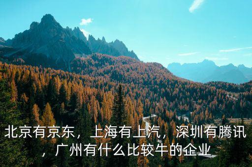 北京有京東，上海有上汽，深圳有騰訊，廣州有什么比較牛的企業(yè)