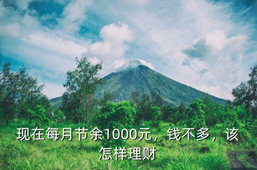 現(xiàn)在每月節(jié)余1000元，錢不多，該怎樣理財