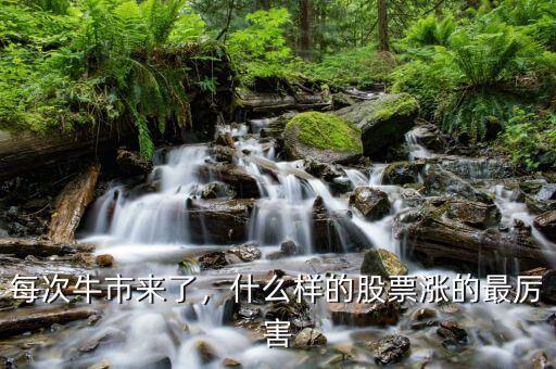 每次牛市來了，什么樣的股票漲的最厲害