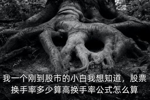 我一個剛到股市的小白我想知道，股票換手率多少算高換手率公式怎么算