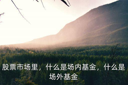 股票市場里，什么是場內(nèi)基金，什么是場外基金