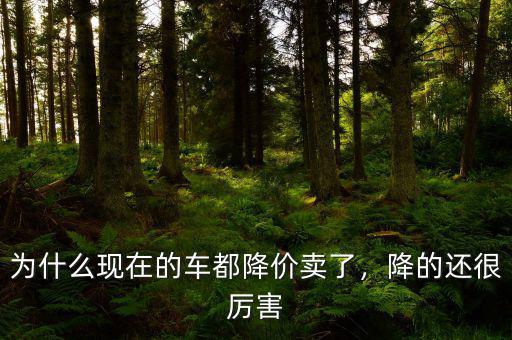 為什么現(xiàn)在的車都降價(jià)賣了，降的還很厲害