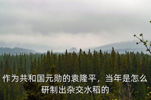 作為共和國元勛的袁隆平，當年是怎么研制出雜交水稻的
