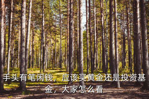手頭有筆閑錢，應(yīng)該買黃金還是投資基金，大家怎么看