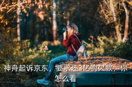 神舟起訴京東，要求還3億的欠款，你怎么看